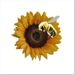 Save the Bees - realism sunflower and bee Posters and Art